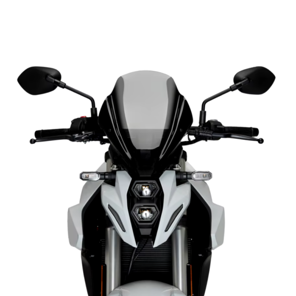 gsxs800windshield