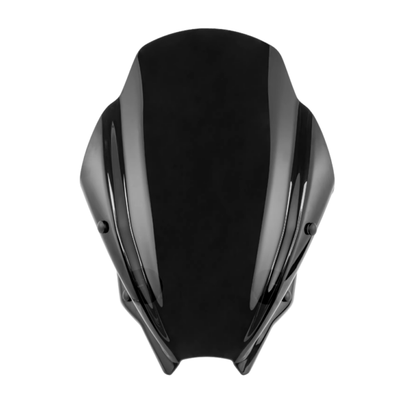 gsxs800windshield2